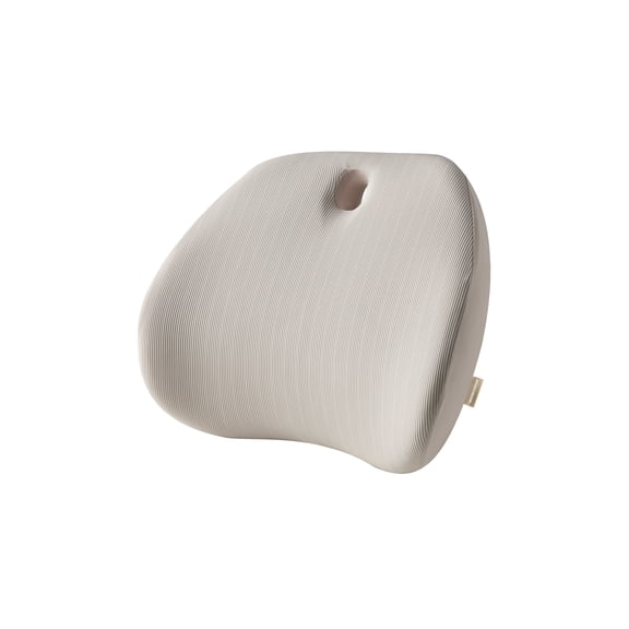 Skechers 1Piece Memory Foam Lumbar Support Tan-Universal Fit,25CU15
