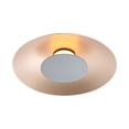 thumbnail image 6 of Yep by Golden Lighting Luma Integrated LED Flush Mount in French Gold and Graphite shade, 6 of 7