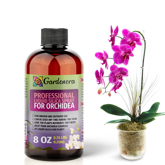 ⭐ PREMIUM Bioavailable Silica Fertilizer for Orchidea – 8oz – Ideal for Hydroponics & Soil – Healthier Plants with Strong Stalks - SPRAY