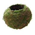 thumbnail image 4 of 2 Piezas de Creativa, Secado Natural, Sustrato Vegetal, Maceta Hidratante para Plantas de Maceta de Jardín, 4 of 6