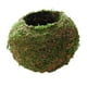 thumbnail image 4 of de de 2 Piezas, Tejido de de , Conservada, Decoración de Jardín, inconfundible 12, 18 Cm CUTICAT Moss Ball Flower Pot, 4 of 6