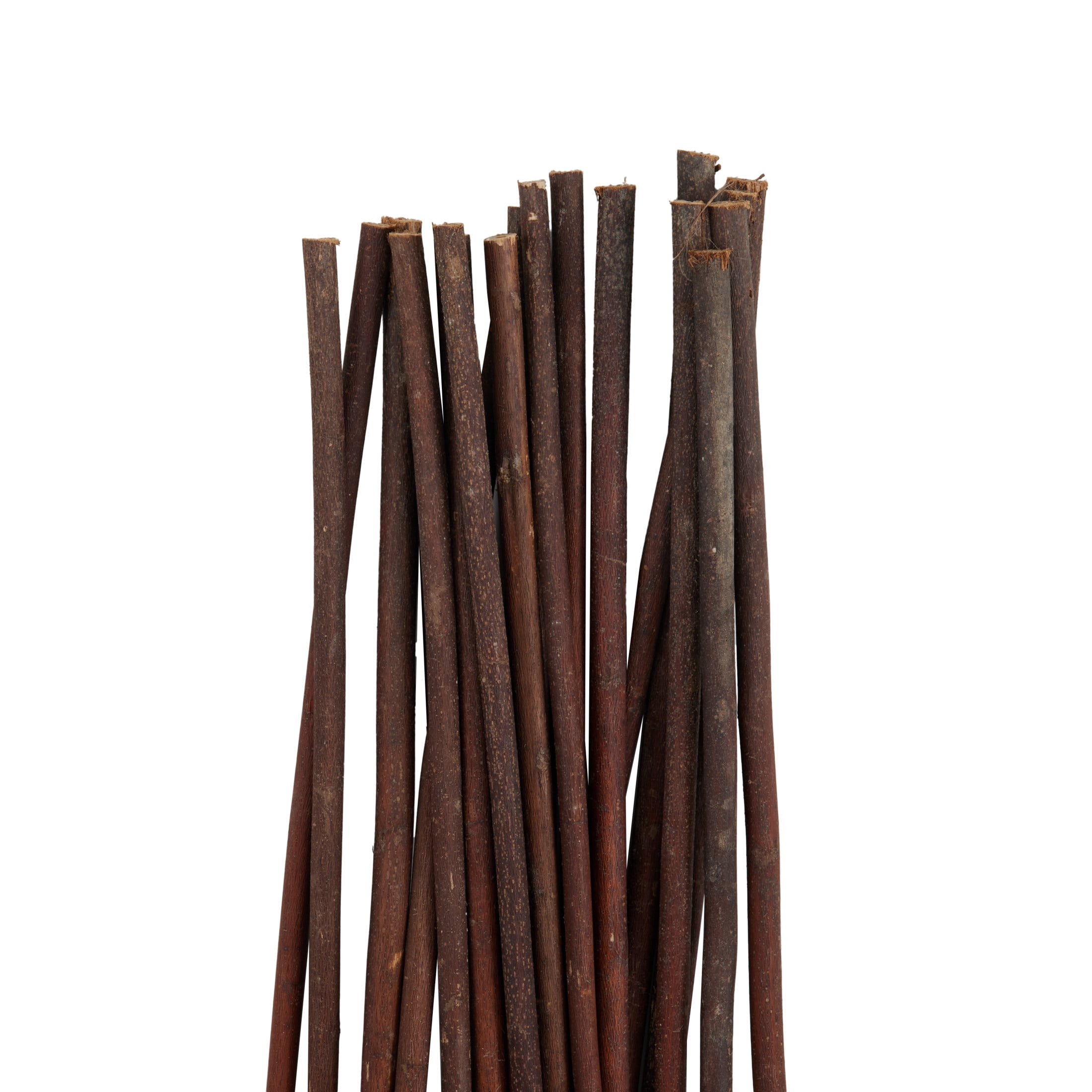 60" Tall Sticks Jute Rope Natural Foliage Bouquet, by DecMode