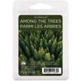 thumbnail image 1 of ScentSationals Scented Wax Cubes - Among the Trees, 1 of 4