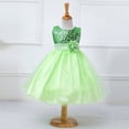 thumbnail image 2 of Girls Sequin Bodice Princess Dress Waist Flower Decor Dress Party Dress Flowy Tulle Skirt Silhouette For Little Girls Birthday Celebration Bridesmaid Wedding Attire Green 110, 2 of 4