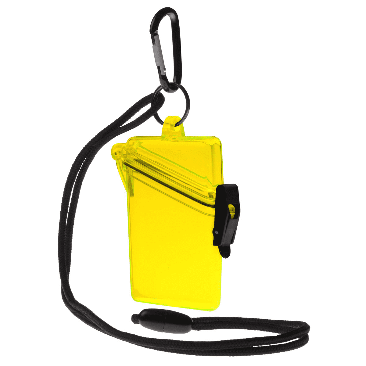 Witz See-It Safe Dry Case