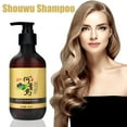 thumbnail image 1 of Champú Polygonum Multiflorum | Fórmula herbal de Ganoderma Negro | Recrecimiento y reparación del cabello | Control de caspa y grasa | Nutrición de ginseng | Restaurar el brillo | Botella de 300 ml, 1 of 7