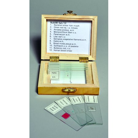 Biology Prepared Slide Set  12 Slides