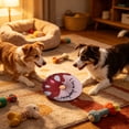 thumbnail image 7 of PoyoKee Cat Toys for Indoor Cats, Donut Shaped Squeaky Puppy Dog Toys to Keep Them Busy, Soft Crystal Fabric & with Squeaker for Small Dogs, Pink, 7 of 7