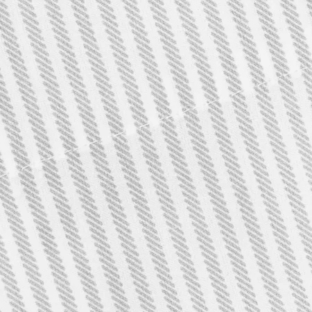 Silver Stripe