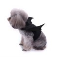 thumbnail image 6 of Small Dog Halloween Costumes, Halloween Dog, Pet Halloween Bat Wings, Small Breed Dog Halloween Outfit, Matte Solid Black Finish, Easy to Put on and Take Off for Daily Wear and, 6 of 7