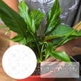 thumbnail image 1 of Xuewenshw 4 Pcs Supports d'Escalade Accessoires de Croissance Crochets Réutilisables pour Système de Diagnostic Intelligent D8, 1 of 6