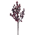 thumbnail image 1 of 14" Icy Red & Burgundy Berry Pick 6/Bag, 1 of 1