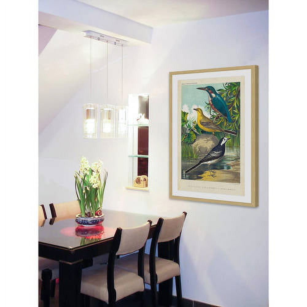 Marmont Hill "Kingfisher & Wagtail" Framed Painting Print