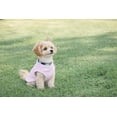 thumbnail image 4 of Chaleco polar JACKO & CO para perros pequeños y medianos, 4 of 8