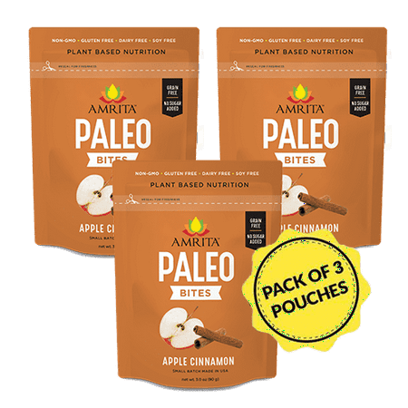 Amrita Foods - Top 14 Allergy Free, Apple Cinnamon Paleo Bites, 6 Bites Each Pouch, 3 Pouches Per Order, No Added