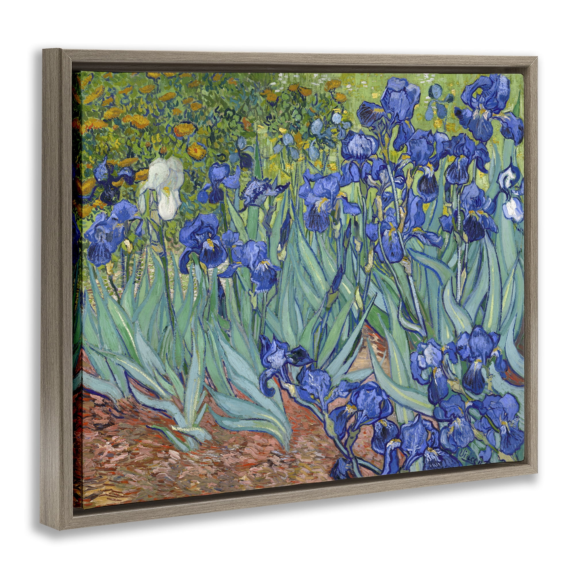 Stupell Industries Classic Van Gogh Irises Plants & Flowers Painting Brown Floater Framed Canvas Art Print Wall Art, 21 x 17