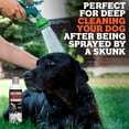 thumbnail image 6 of Nuesta Pets Skunk Odor Remover Pet Shampoo,10 oz Bottle, Unscented, pH Balanced, Naturally Derived, Safe & Gentle for Dogs, 6 of 9