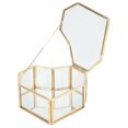 thumbnail image 3 of Rankomu Terrario, Maceta de Cristal en Forma de corazón, contenedores de terrario, Maceta de Mesa Moderna, estantes, Caja de exhibición de decoración, Regalo, 3 of 5