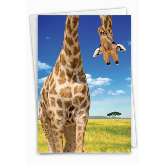 1 Funny Birthday Card with Envelope - Upside-Down Giraffe C6336BDG