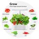thumbnail image 5 of Luz de planta para plantas de interior Modo de frutas/verduras Pantalla táctil 24W Espectro completo 104 LED Crecimiento de escritorio, 5 of 8