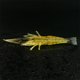 thumbnail image 3 of Soidarity 6 uds cebo en forma de camarón atractivo reutilizable Trolling Tackle cebos práctico pesca agua salada agua dulce lago corriente Pescar, 3 of 6