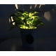 thumbnail image 3 of Luz solar en maceta de planta de jardín TUNC Sencillez LED, 3 of 5