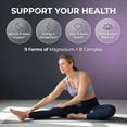 thumbnail image 2 of Clean Nutraceuticals Magnesium Complex with Magnesium Glycinate Citrate Malate Oxide Taurate Aspartate Orotate & Mag Chloride, Zinc Copper Manganese & Vitamin C B1 B2 B6 B12 Complex - 1Pack, 2 of 8