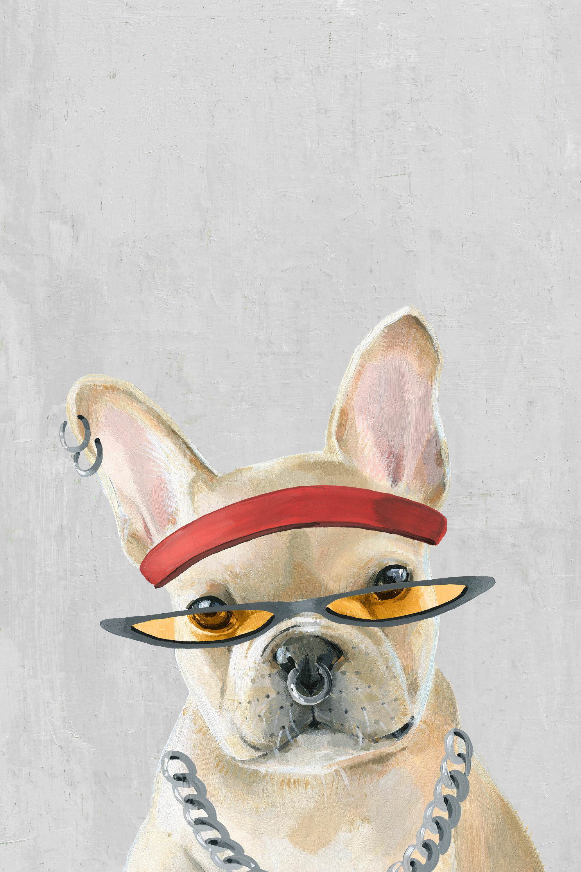 Marmont Hill "Hip-hop Dog" Painting Print on Wrapped Canvas