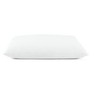 Deluxe Comfort Organic Buckwheat Hull Bed Pillow (19" L x 14" W