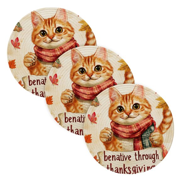 BZSMCE Mats for Pots,Pans Place Cute Orange Cat Simple Style Pattern Pot Mats