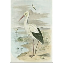Great BIG Canvas | "White Stork" Art Print - 24x36