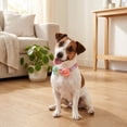 thumbnail image 3 of Vibrant Life Adjustable Bow Tie Fashion Dog Collar, Multicolor, S, 3 of 12
