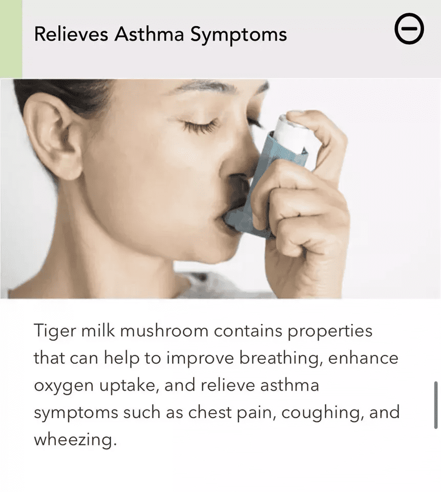 Lignosus the Best Natural Lung Supplement Organic Tiger Milk Mushroom - 30 Sachet Box