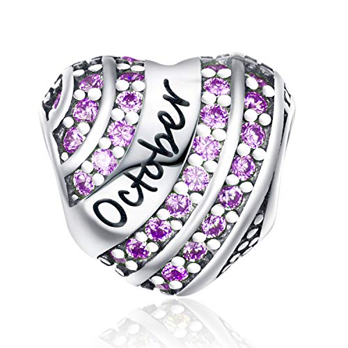 XOYOYZU Birthstone Charm for Pandora 