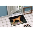 thumbnail image 4 of Carolines Treasures SS8478MAT Paillasson Intérieur Extérieur 18 x 27 Po. Nuit Étoilée Vizsla, 4 of 4