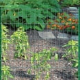 thumbnail image 4 of Valla de alambre soldado para jardinería, 60 cm de alto x 15 m de largo, acero verde, 4 of 5