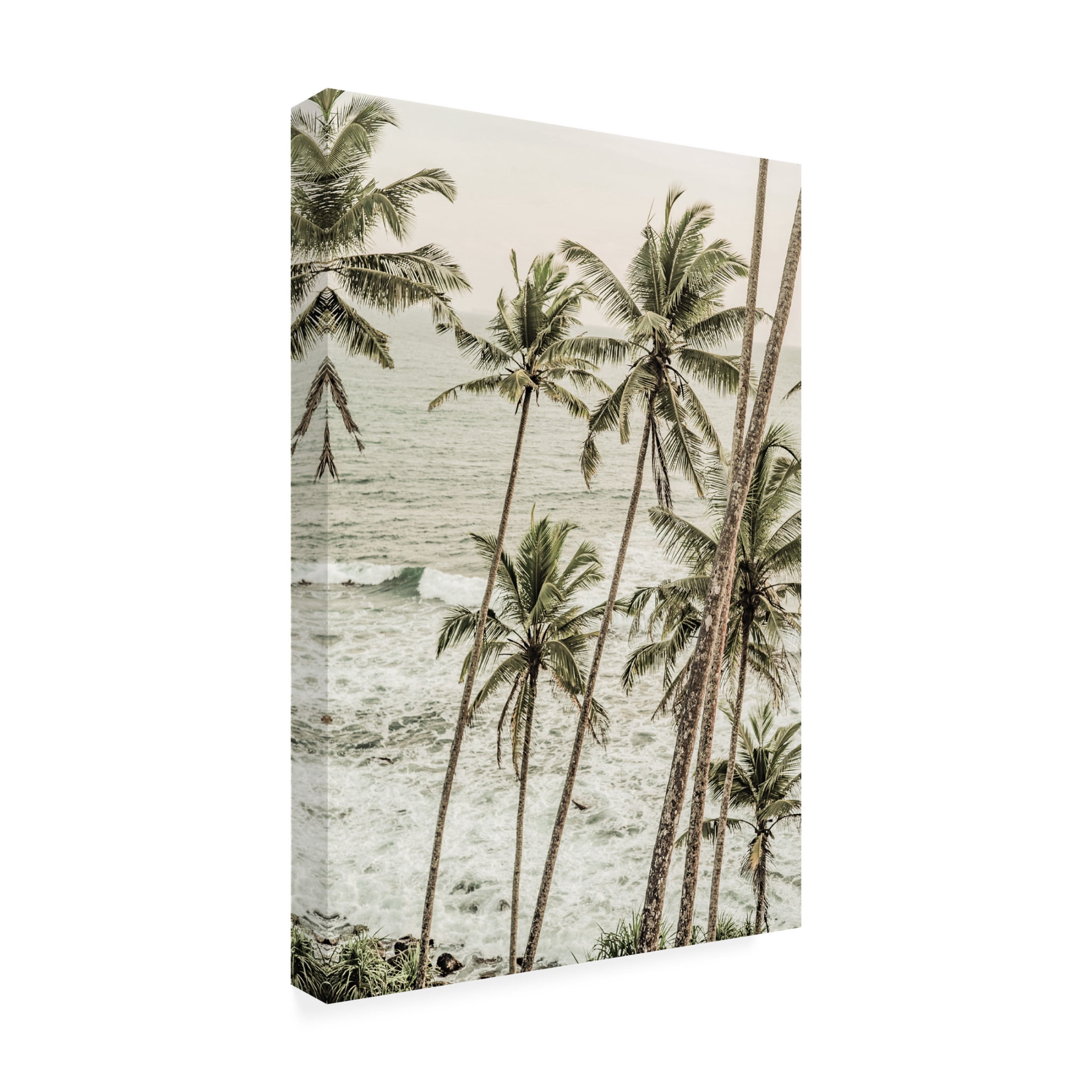 Trademark Fine Art Shot by Clint Deep Dream Canvas Wall Art