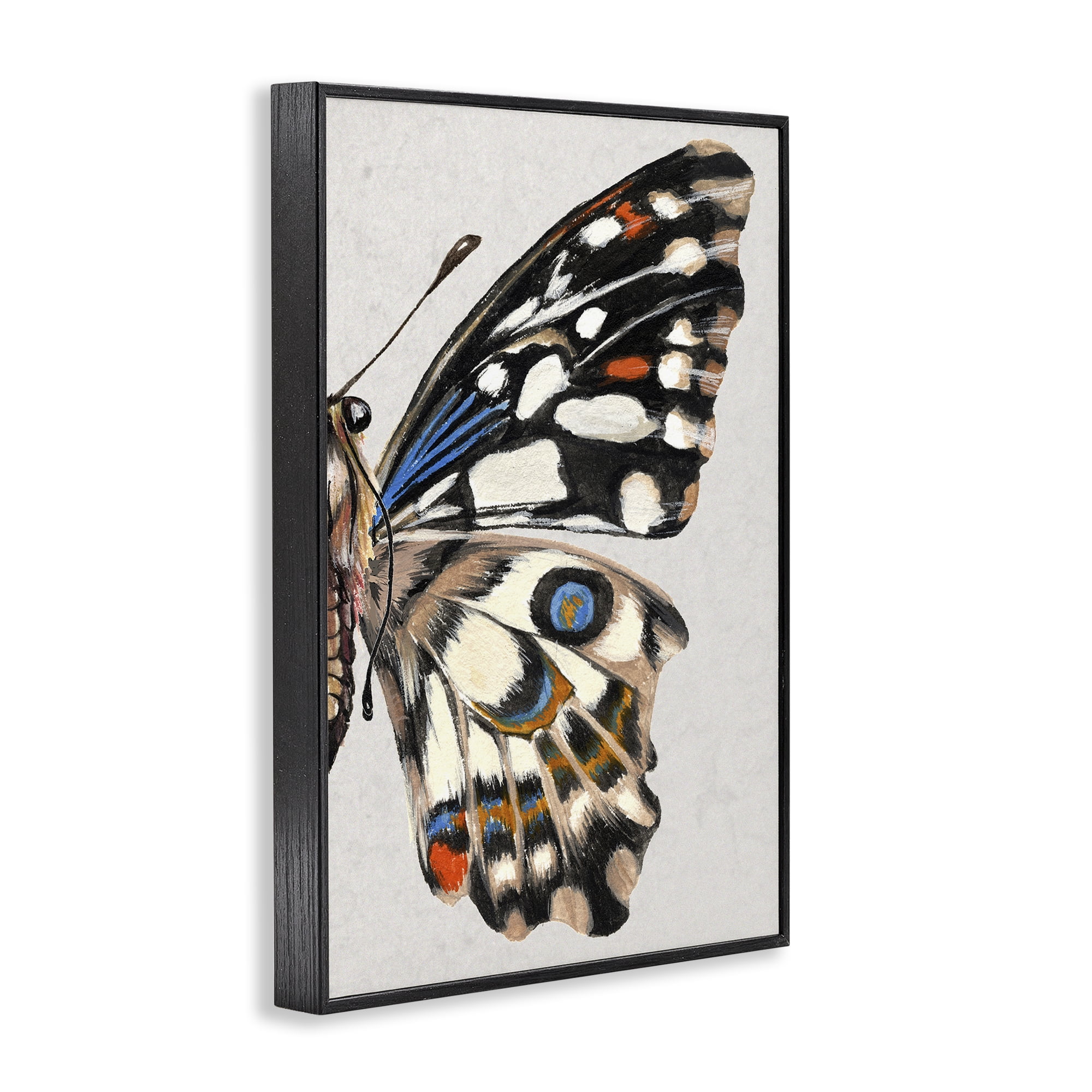 Stupell Industries Butterfly Wing with Spots Animals & Insects Painting Black Framed Art Print Wall Art, 20 x 30