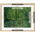 thumbnail image 3 of Trees and Undergrowth, c.1887, Scenic Framed Art Print Wall Art by Vincent van Gogh Sold by Art.Com, 3 of 6