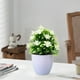 thumbnail image 5 of Simulación de ciruelos de cinco hojas en macetas, plantas de bonsái, simulación de flores, ideal para decoración de interiores, jardines, terrazas y escritorios de oficina., 5 of 5