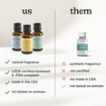 thumbnail image 5 of Homeidcs SereneScent™ Moroccan Magic15ml Home Fragrance Essential Oil, 5 of 5