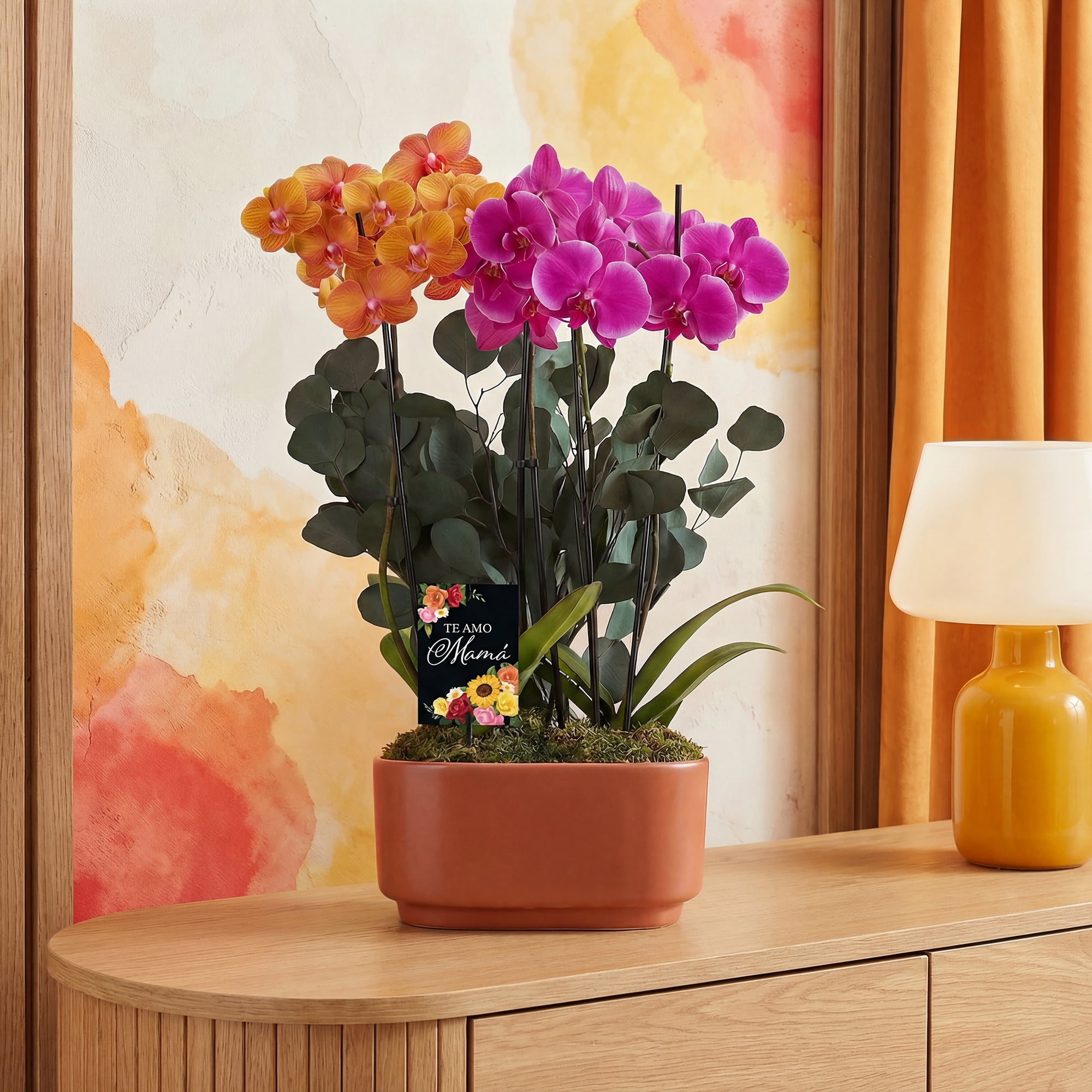 Green Circle Growers 10" Salmon and Pink Orchid Duo Live Plants in Orange Planter – Mother’s Day Gift