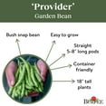 Burpee Organic Provider Garden Bean Vegetable Seed, 1Pack