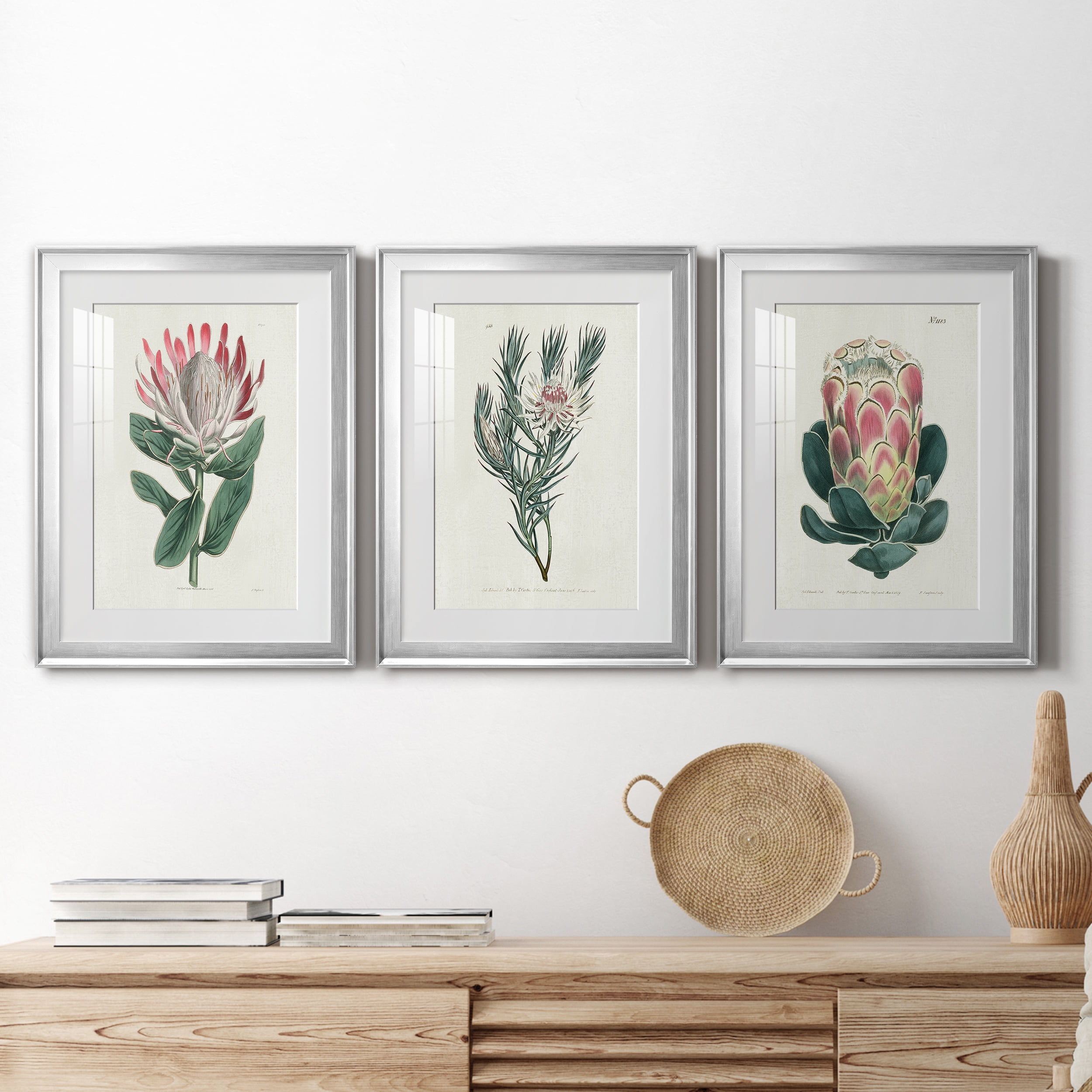 Protea N13 Premium Framed Prints Set of 3 - Ready to Hang - 18 x 24 Each - Silver Frame