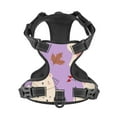 thumbnail image 4 of XMXY No Pull Dog Harness, Muertos Cute Halloween Creepy Adjustable Reflective Pet Harness with Oxford Vest, X-Large Size, 4 of 9