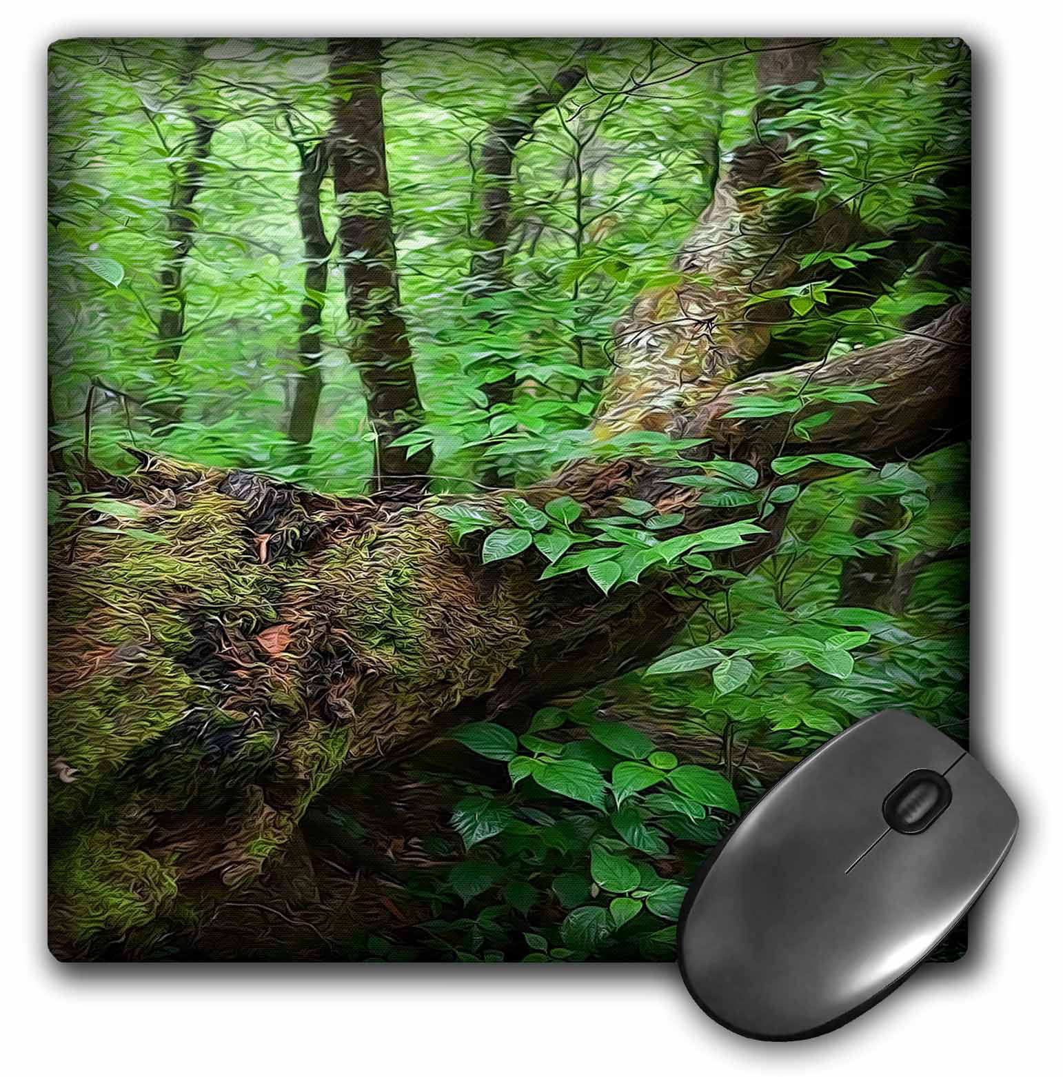 3dRose Fallen Tree in Forest, Mouse Pad, 8 by 8 inches - Walmart.com
