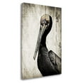 thumbnail image 1 of Tangletown Fine Art 'Rustic Brown Pelican' Graphic Art Print Print on Canvas, 1 of 2