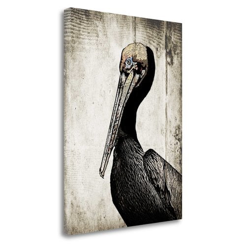 Tangletown Fine Art 'Rustic Brown Pelican' Graphic Art Print Print on Canvas