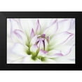 thumbnail image 2 of LeBlanc, Dawn 14x11 Black Modern Framed Museum Art Print Titled - Dahlia, 2 of 5