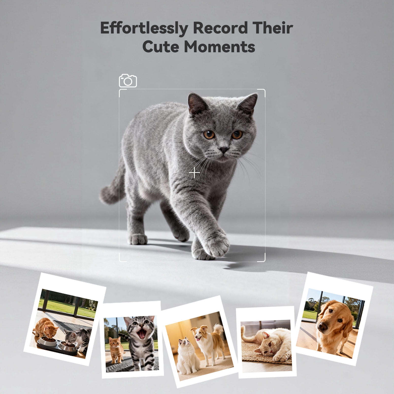 WOPET Automatic Cat Feeder with 1080P Camera 6L WiFi for Two Pets